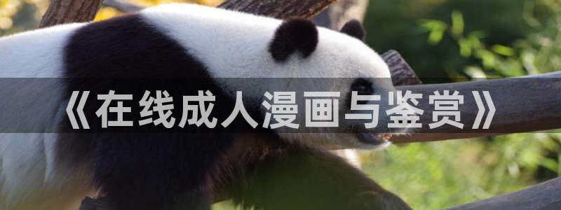 汗汗漫画怎么不见了