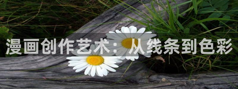 汗汗漫画www